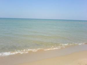 dsc00955u