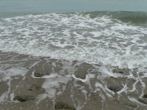 p1100226