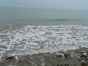 p1100227