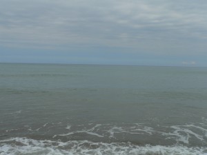 p1100228