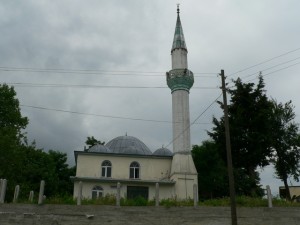p1100241