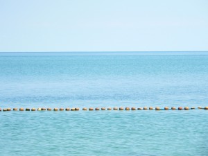 p1100251