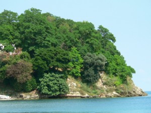 p1100268g