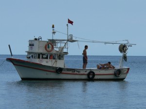 p1100295