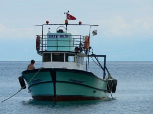 p1100298
