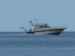 p1100301