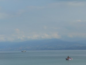p1100310
