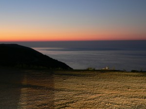 p1100390