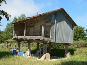 p1100406