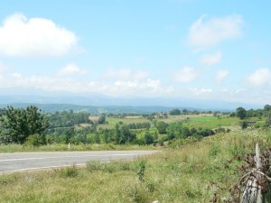 p1100417