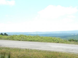 p1100418