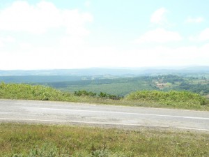 p1100424