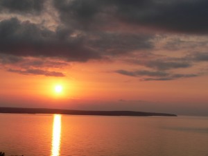 p1100429