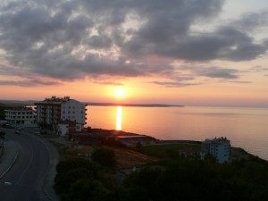 p1100436