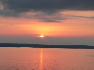 p1100448
