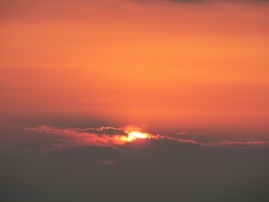 p1100449