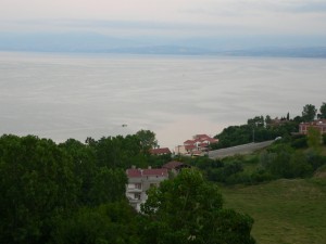 p1100454