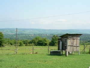 p1110881