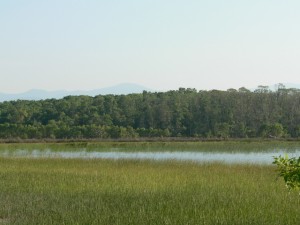 p1130100