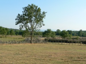 p1130108