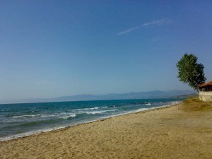 Sinop