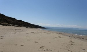 IMG_1885