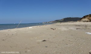 IMG_1891
