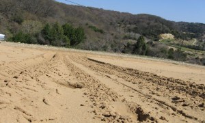 IMG_1949