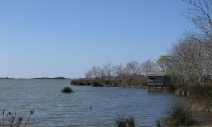 IMG_1960