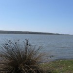 IMG_1966
