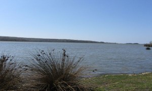 IMG_1966