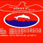 sinay57
