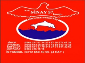 sinay57